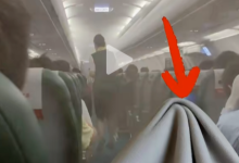 故意调低温卖毛毯?春秋航空声明!去年盈利22.7亿,是“国内最赚钱航司”-程序员中文网