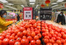 7月核心CPI同比涨幅连续3个月扩大，下半年价格低位温和回升支撑因素有哪些-程序员中文网