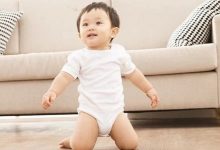 生二孩最高奖补28.71万，生三孩最高奖补35.59万，湖北一地宣布-程序员中文网