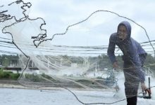 印尼虾销美突遭关税横祸，养殖业者转向开发中国商机-程序员中文网