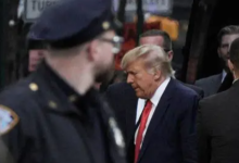 特朗普5.27亿罚单被驳回,323页文件揭露案件细节-程序员中文网