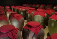 收入下降38%，珍酒李渡陷“双降”困境，跨界卖啤酒能否破局？-程序员中文网