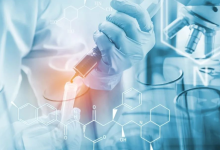 龙头直线涨停，供需压力缓解，5股半年报业绩预计翻倍-程序员中文网