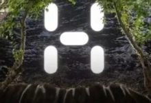 李宁做梦都想要有个始祖鸟？-程序员中文网