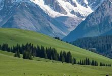 中国最大的省,又升级了-程序员中文网