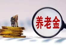 7省份违规发养老金超8000万，含给服刑、死亡人员发养老金-程序员中文网