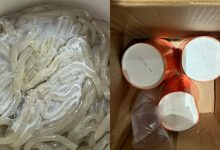 麻六记酸辣粉又发霉？线上销售额同比大跌，号称今年将开300家线下店-程序员中文网