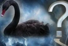 “黑天鹅”突袭！刚刚，印尼股、债、汇三杀-程序员中文网