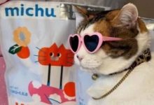 贵3倍也要买！中国小城的产品在美国杀疯了-程序员中文网