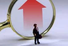 8.1%!社保基金2024年投资成绩单来了-程序员中文网