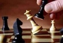 提前20%涨停！智元要约688585，或浮盈超百亿-程序员中文网