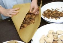 暴跌,“曾经论克卖的药材,如今按斤称都嫌贵”-程序员中文网