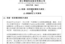零跑汽车:拟向一汽股权发行内资股,总筹约37.4亿元-程序员中文网