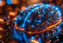 马斯克：如果能“改写”设定程序 人类可以实现半永生-程序员中文网