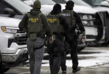 ICE暴力执法 超900名谷歌员工要求公司切断与国土安全部合作-程序员中文网